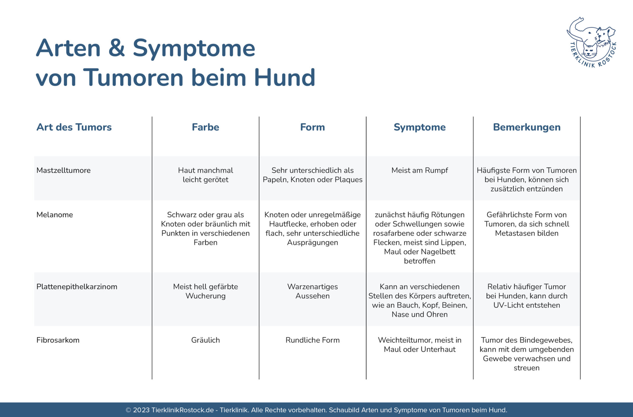 Warze oder Tumor beim Hund - Wie erkennen? | Tierklinik Rostock