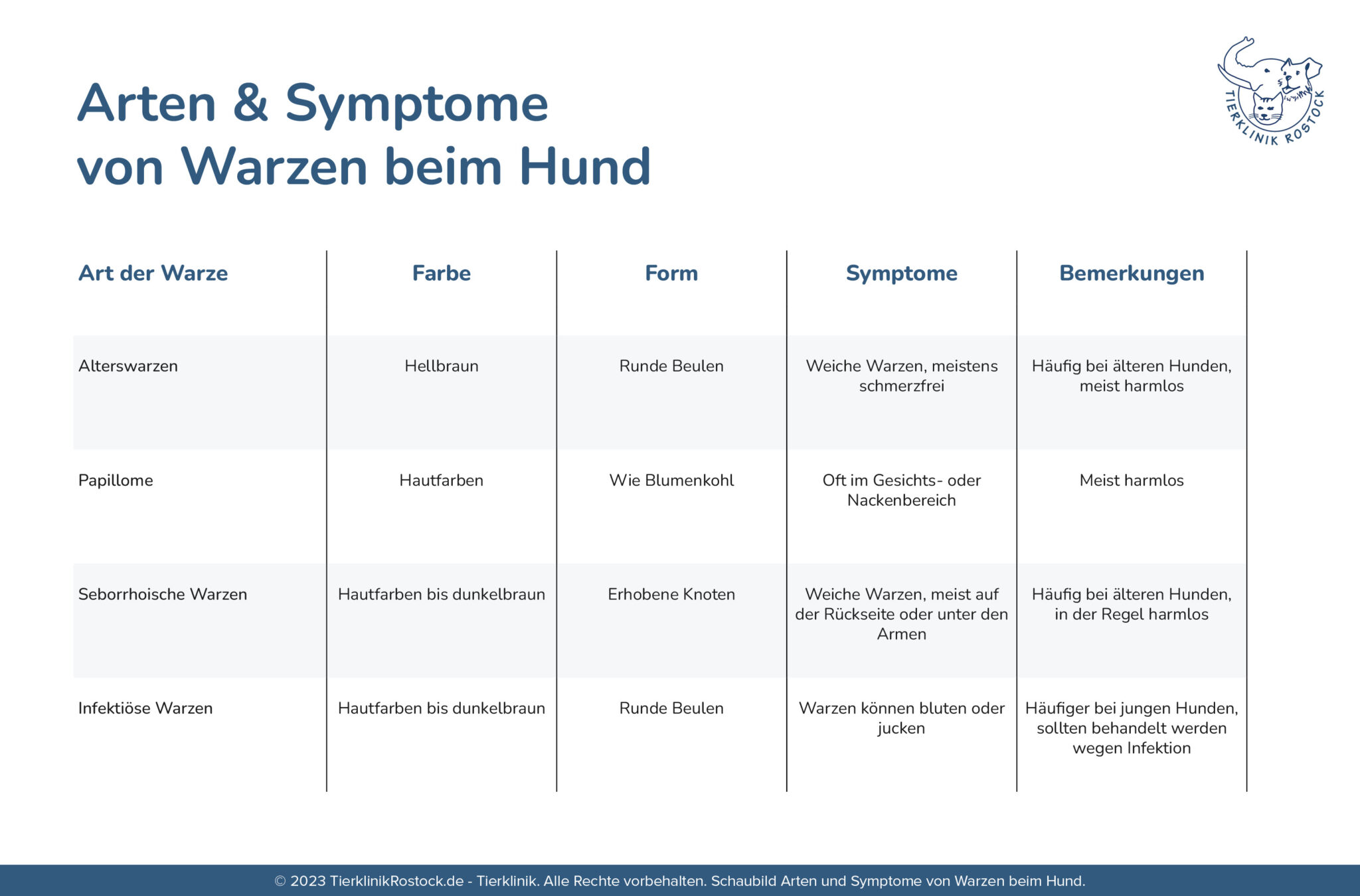 Warze oder Tumor beim Hund Wie erkennen? Tierklinik Rostock