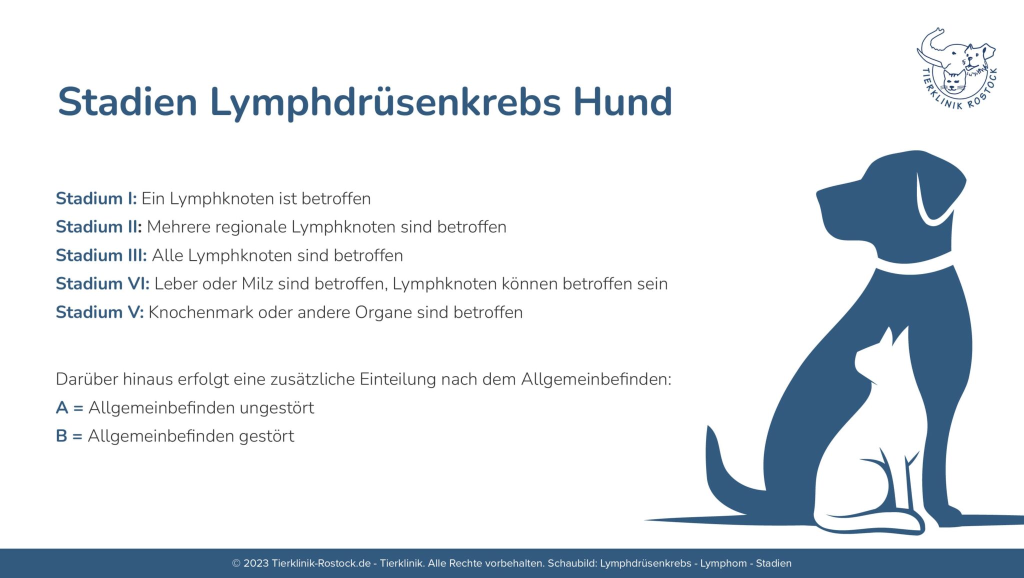 Geschwollen Hals Lymphknoten Beim Hund Bilder www.tierklinikrostock.de