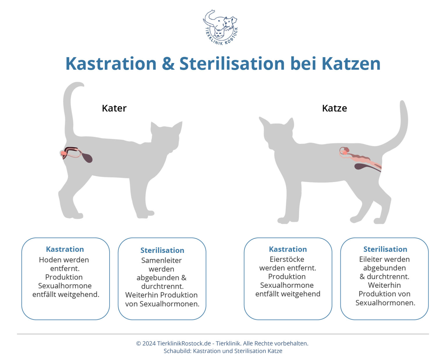 Sitemapcdatahttpderinfbizidfabelhafte Kastration Rude Ablauf Fotos