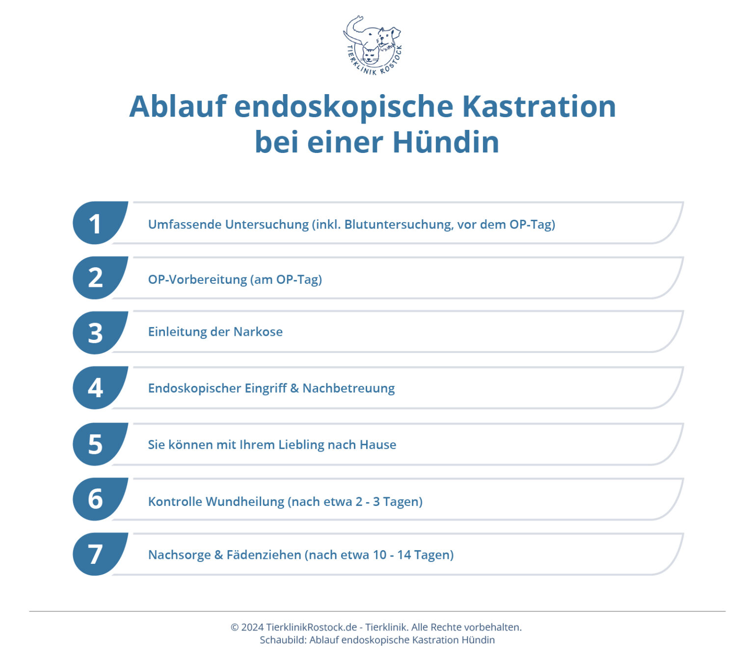 Kastration Hund - Alle wichtiges Infos | Tierklinik Rostock