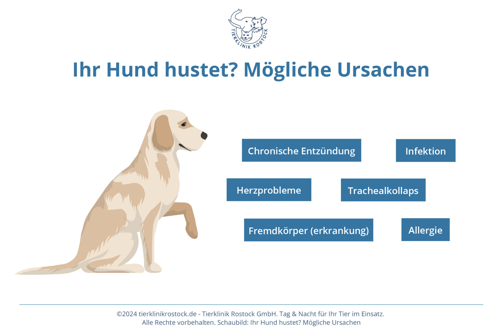 Husten Beim Hund Mit Schleim www.tierklinikrostock.de