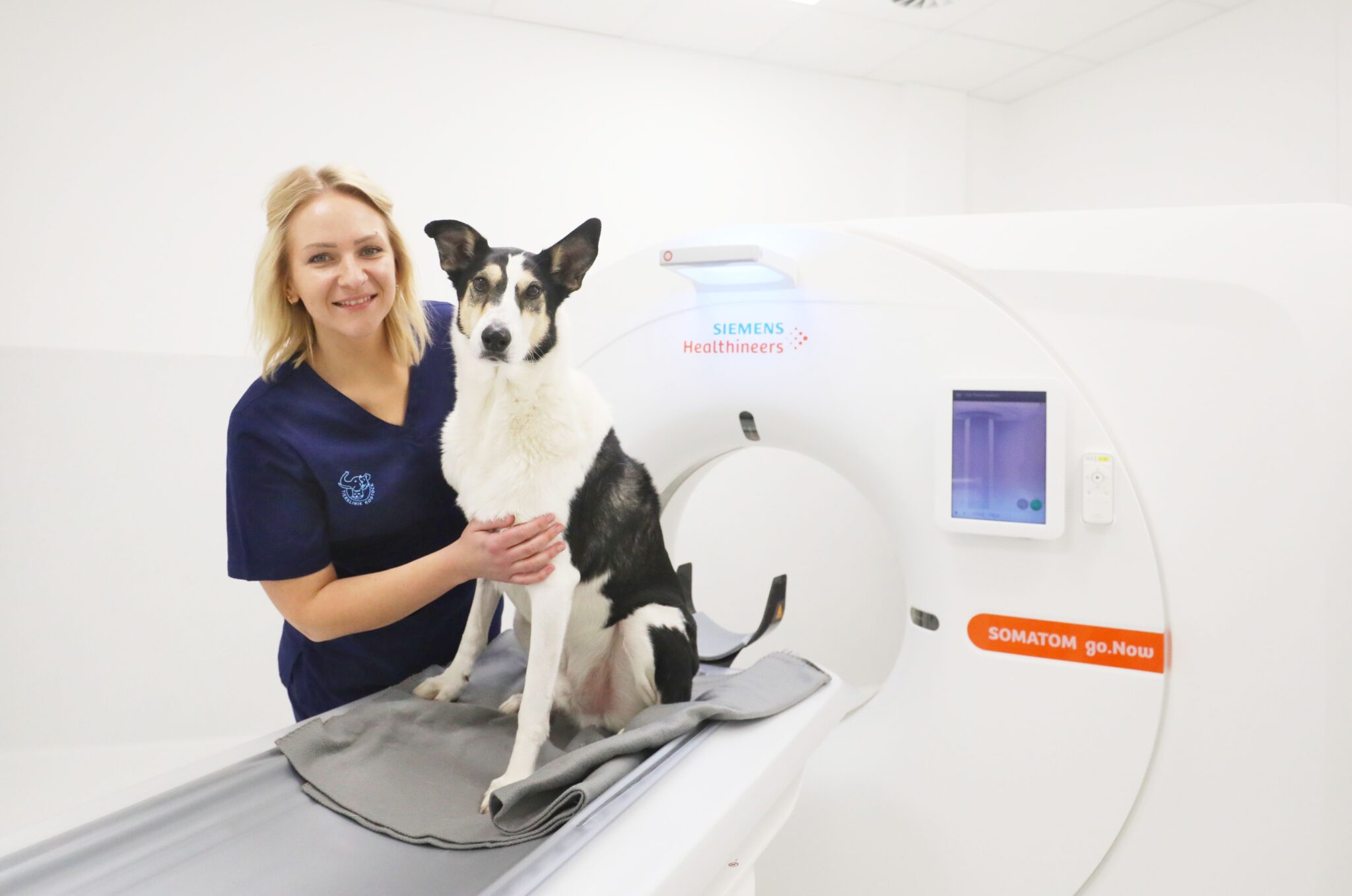 Warze oder Tumor beim Hund - Wie erkennen? | Tierklinik Rostock