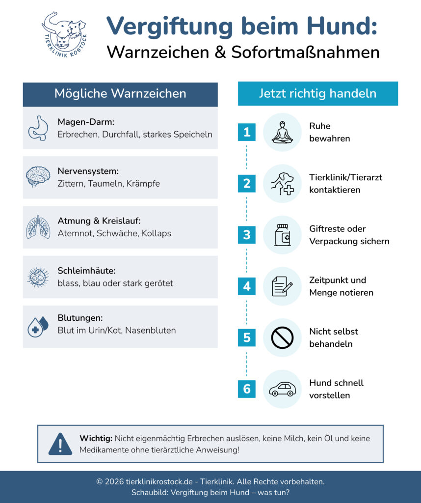 Infografik zu Symptomen einer Vergiftung beim Hund und den wichtigsten Sofortmaßnahmen im Notfall